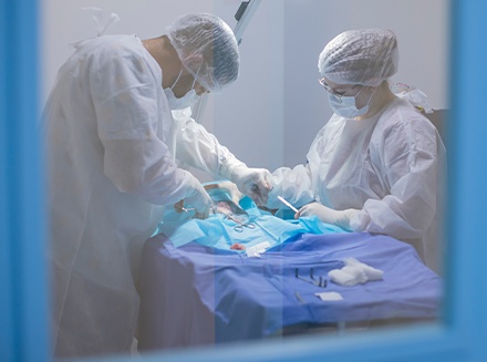 Cirurgia Veterinária