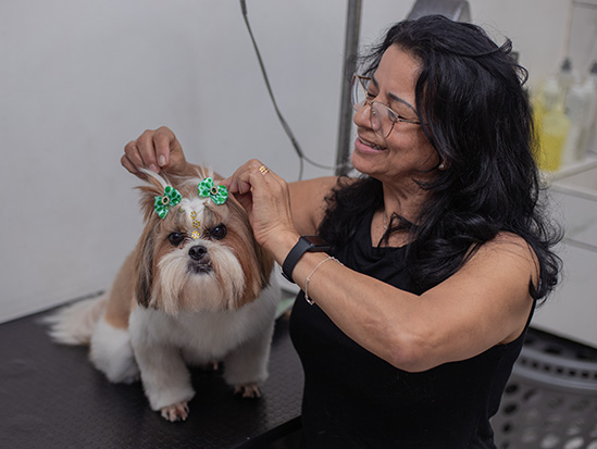 Banho e Tosa - Estética Animal