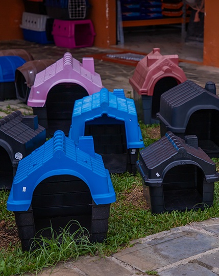 Casinhas e caixinhas de transporte