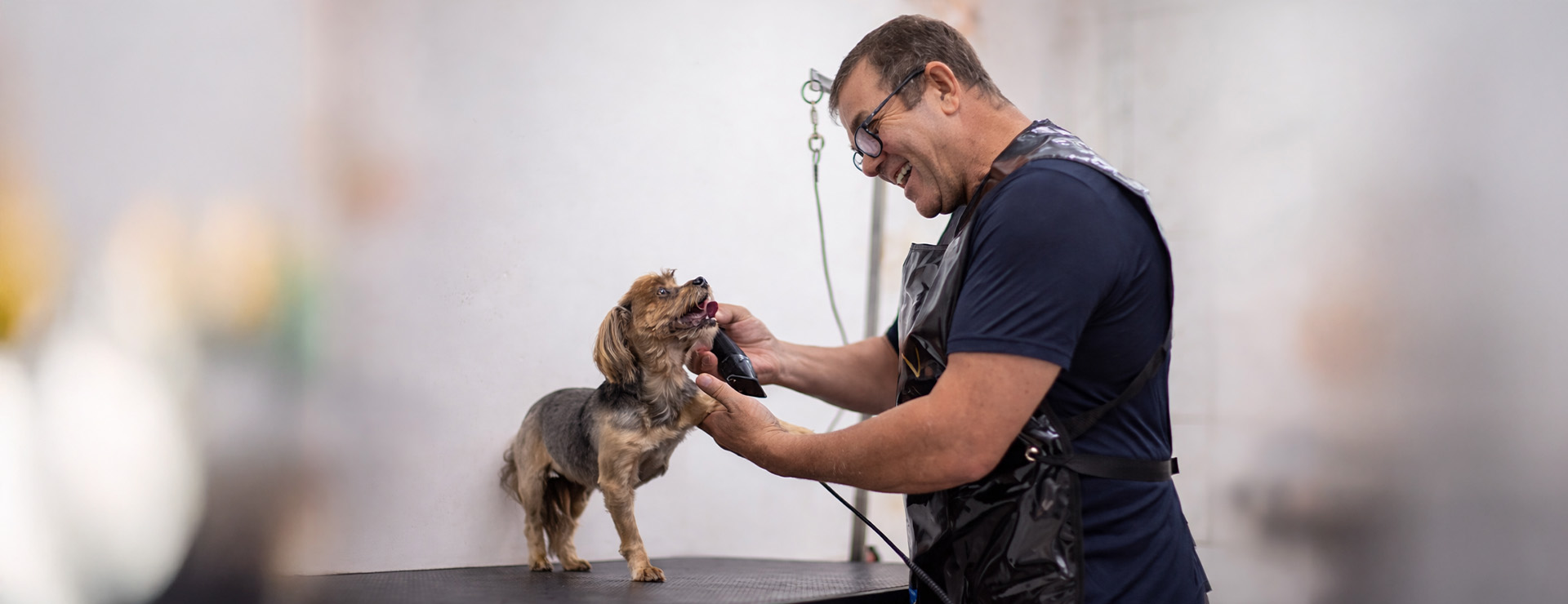 Estética Animal Novo Horizonte